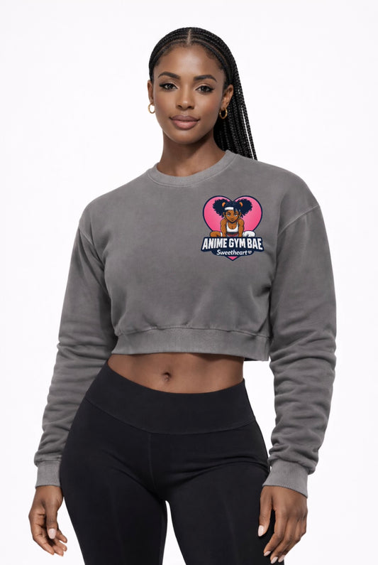 Sweetheart Vintage Crop Sweatshirt – Moon Shadow Ash | Anime Gym Bae ™